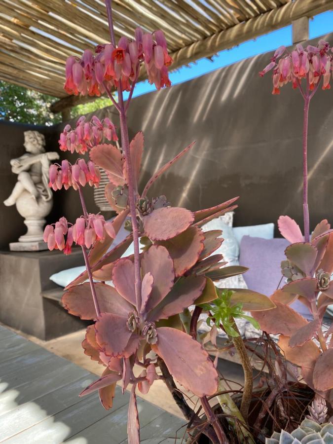 Gelukkie Hotel Paternoster Exterior photo